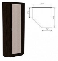 Шкаф угловой со штангой и полками Арт. 402